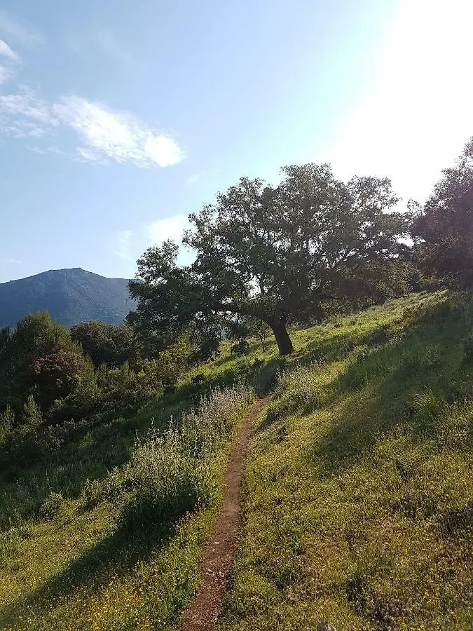 Tatil Evi El Sueno Del Bosque Villa