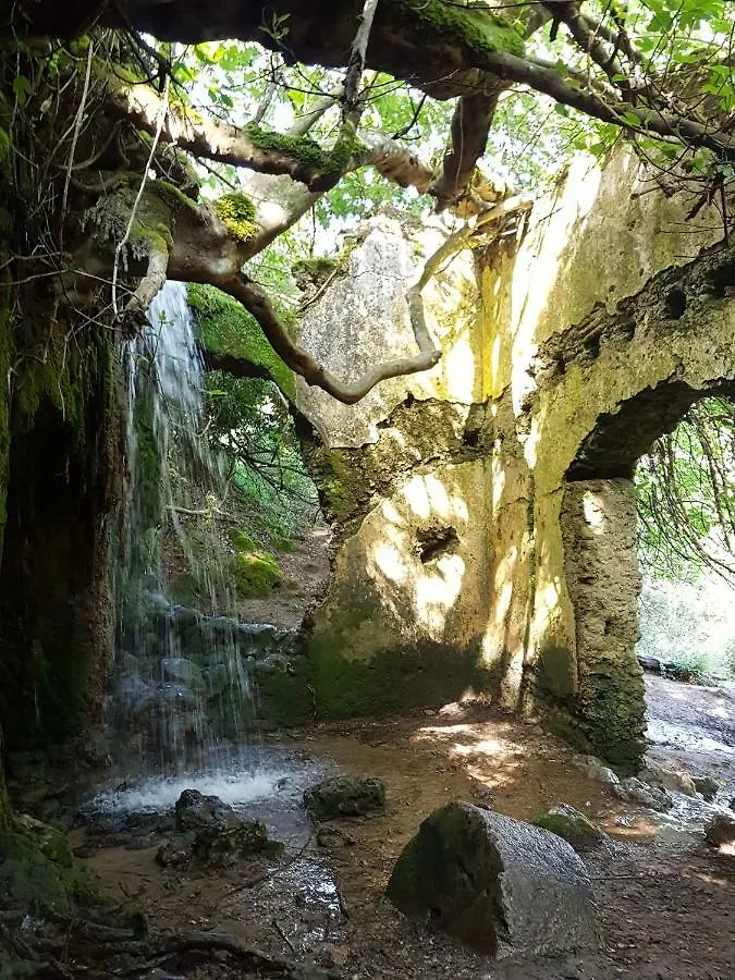 El Sueno Del Bosque Villa